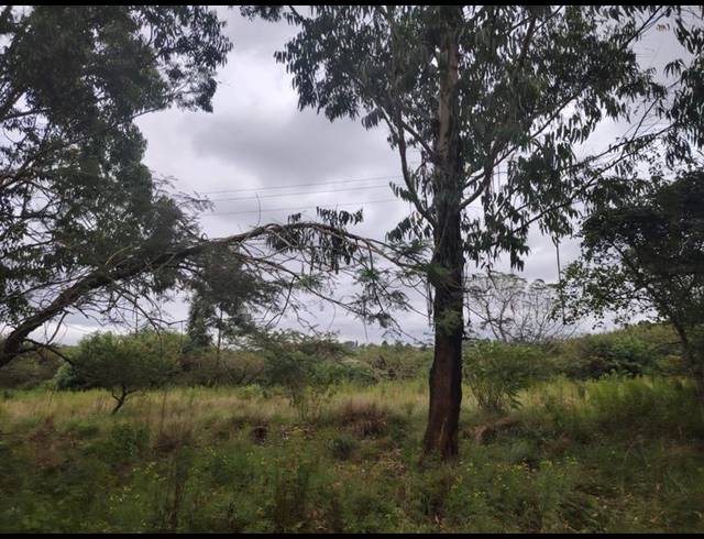 LAND FOR SALE IN CLIFFDALE